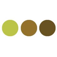 Vorstellung Kooperationspartner -Teil 3